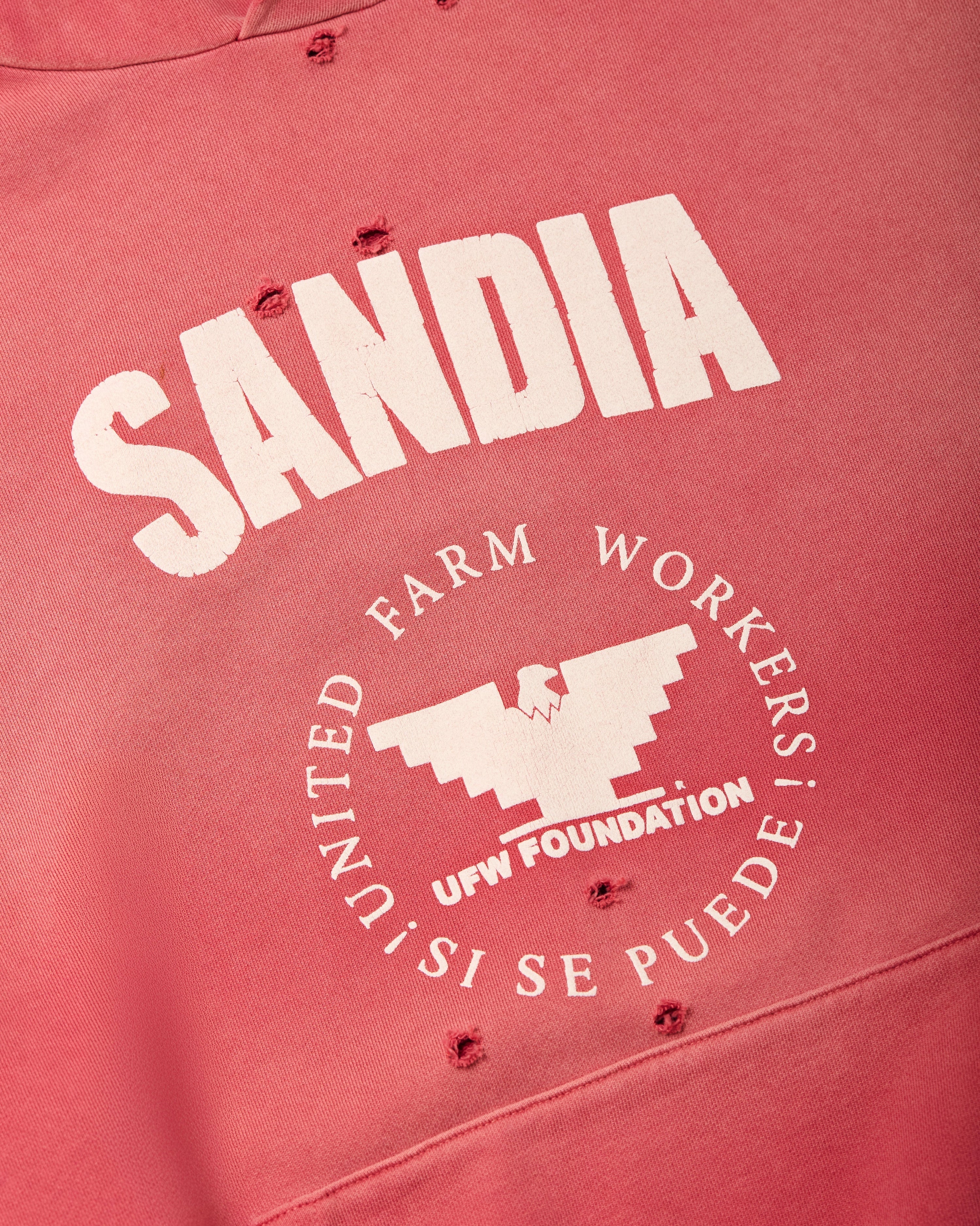 WILLY CHAVARRIA Hooligan Hoodie "Sandia" Mens Apparel - Image 3